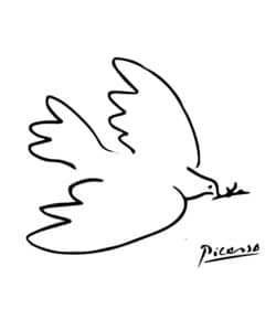 Dessin d'une colombe par Pablo Picasso