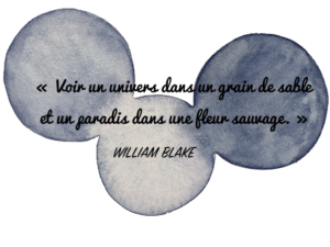 Aquarelle Valérie Faure & citation W Blake pour illustrer l'émerveillement
