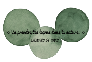 Aquarelle Valérie Faure & citation L De Vinci pour illustrer la nature