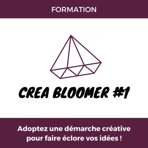 formation créativité "créa bloomer 1" pour adopter une démarche créative et faire éclore ses idées, copyright Valérie Faure
